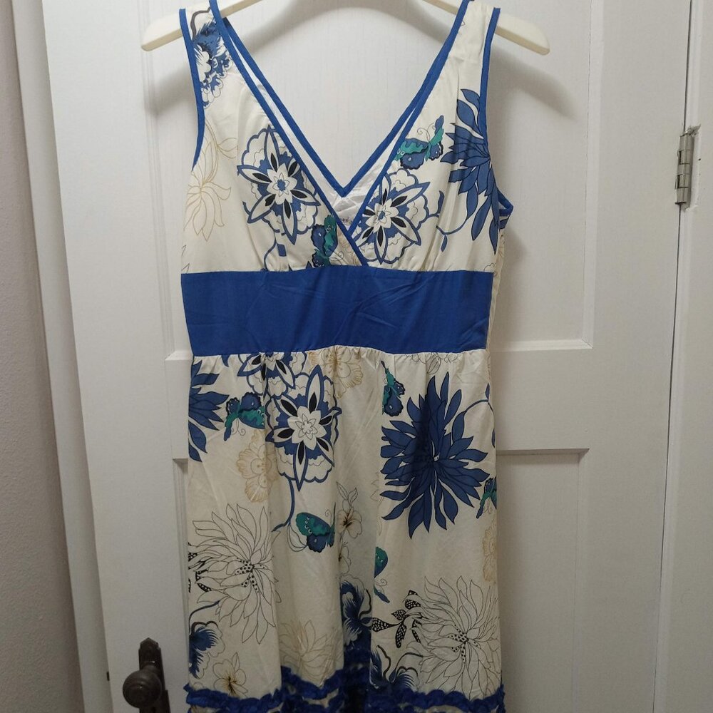 White and Royal Dress